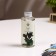 Filler for aromatic diffuser fruit mix 100 ml