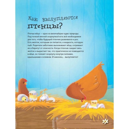 Living nature in questions and answers-4