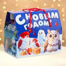 New Year. Gift box New Year's Case 