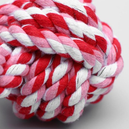 Training cable toy "Hantel", 180 g, mix of flowers-4