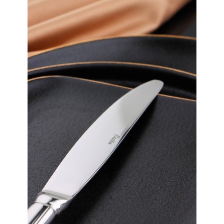 A stainless steel knife “Middleton”, length 23 cm, thickness 9 mm, silver color-1