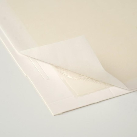 Nadzor adhesive from rodents "House", 2 pcs-6