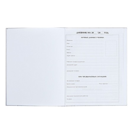 Universal diary for grades 1-11 Anime. Man and Sky, solid cover, glossy lamination, 40 sheets-3