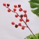 Set of plugs "Berries" 3pcs, red, 33x10x2cm
