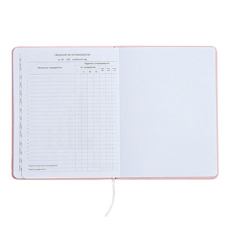 Universal diary for grade 1-11 Fashion Bear, solid cover, artificial leather, foam rubber, liesse, 80 g/m2-12
