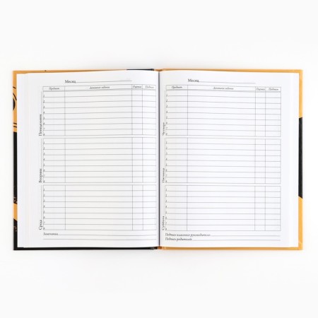 School diary 5-11 grade, in a solid cover, 48 liters. Football-3