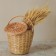 Vegetable Crimery Basket high with a lid, 300x300/250/370 mm
