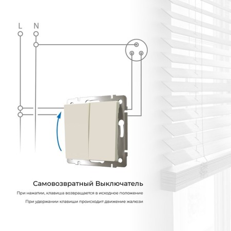 Two -clavy switch with self -return (ivori matt) W1122462-1