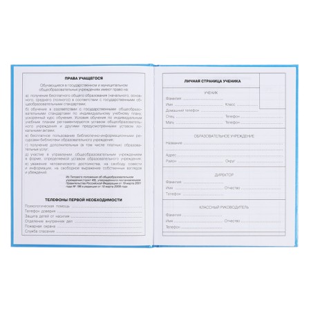 Diary for grades 5-11, 48 sheets "Inspiration!", Firm cover, glossy lamination, block 60 g/m2-4