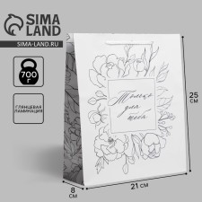 Gift laminated package, packaging, for you, ml 21 x 25 x 8 cm