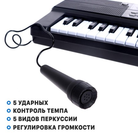 Synthesizer "Children's", 61 key, with a microphone-2
