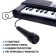 Synthesizer "Children's", 61 key, with a microphone
