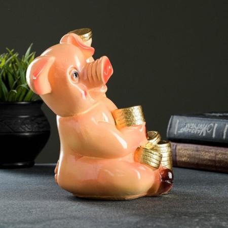 Pigger "Pig with coins" 19x21x13cm-3