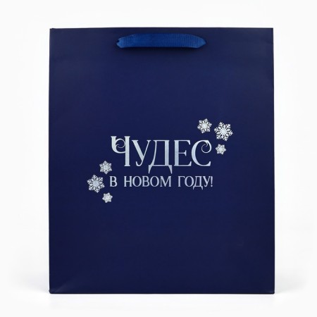 Package Gift New Year's "Miracles in the New Year", holography, ML 23 x 11.5 x 27 cm, New Year-1