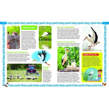 Big book about birds. Illustrated encyclopedia-7