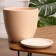 Pot Flower Nest Beige Crocus No. 4, 4.2 l, D - 20.8 cm