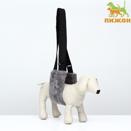 Auxiliary belt for hind legs, size L (OG 40-45, weight 9-12 kg), gray