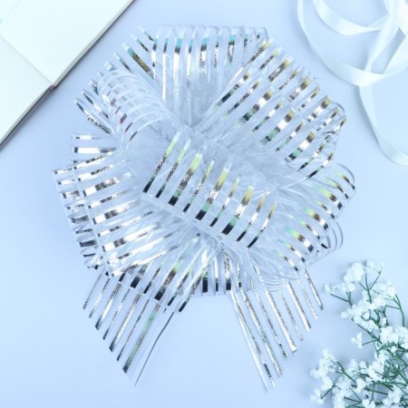 Bant-Shar No. 10 "stripes", color silver