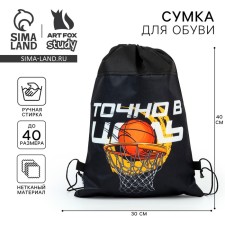 A bag for shoes “exactly on target” non -packed canvas, size 30 x 40 cm