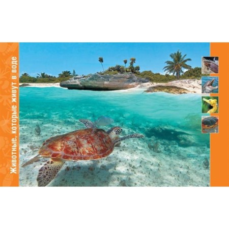 Encyclopedia. In the animal world-3
