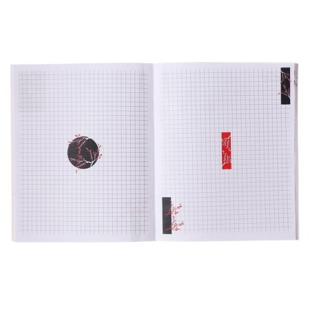 Notebook of 48 sheets in the cage "Anime. B/B", cover coated cardboard, matte lamination, selective UV-LK, design of the inner unit, offset-2