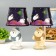 Table lamp "Bear" E14 15W mix 20x20x34 cm Risalux
