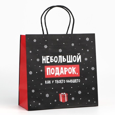 Package Gift "Small Gift", 22 x 22 x 11 cm, New Year-1