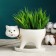 Pot "Cat" White, 15.5x7.5x9.5cm