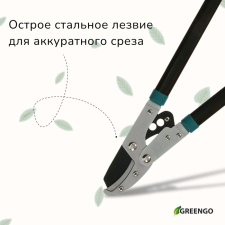 Contact bitch, 31 "(79 cm), with an anvil, with plastic handles, mix, Greengo-3