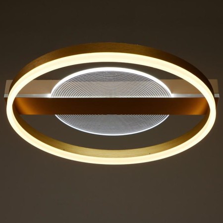 Luer with PDU 1343/2 LED 100W 3000-6000k gold 52x50x9 cm Bayerlux-2