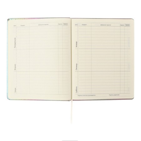 Universal diary for grade 1-11 "Take me such", solid cover, artificial leather, foam rubber, silkography, liesse, 80 g/m2-6