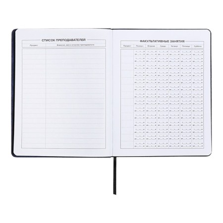 School diary for grades 1-11 “Owl Girl”, hard cover, artificial leather, “soft-tach”, lies, 48 ​​sheets, universal cheat sheet, block 80g/m2-4