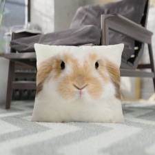 Decorative Ethel Pillow 