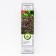 Barberis Tunberg "Atropurpurea" 1 pc, tube, spring 2025