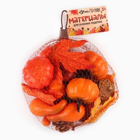 Set for creativity "Autumn crafts", in the grid-7