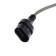 DLED HIR2 LED lamp 9012, PX22D, C6 Original, 12V, 6500K, in a set 2 pcs