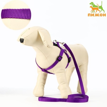 Set "Basis", leash 120 x 1.5 cm, OG 32-46 cm, purple