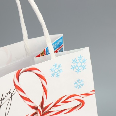 Package for the bottle "New Year's Post", 13 x 36 x 10 cm, New Year-6