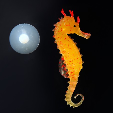 Decor for the Aquarium "Sea Horse" Silicone, with a neon effect, 2 x 4 x 10 cm, orange 10069-3