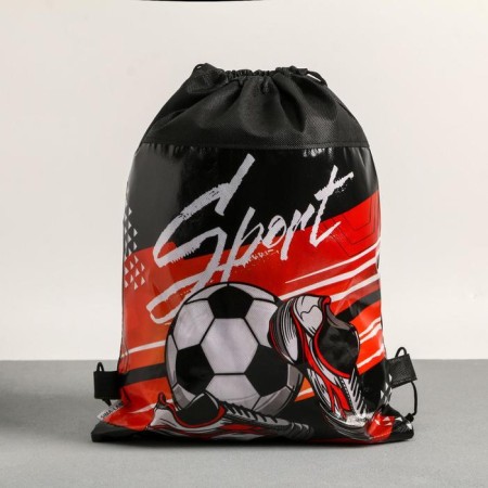 Sport shoe bag, 30 x 40 cm-2