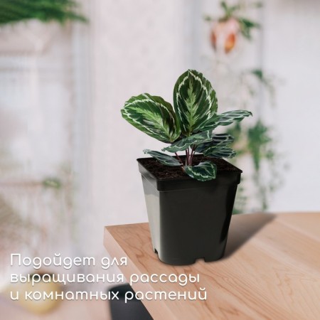 Pot for seedlings, 3 l, d = 16 cm, h = 16 cm, black, greengo-2