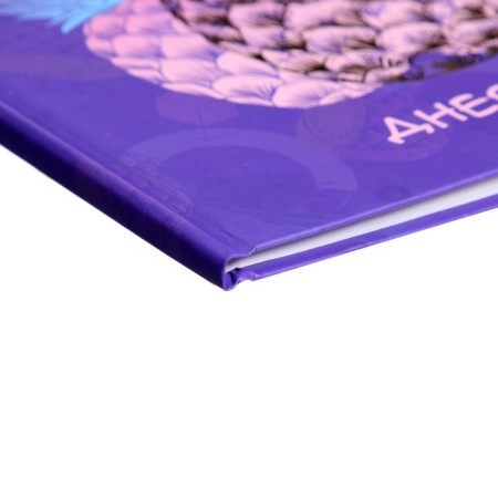 Universal diary for grades 1-11, "fruit mood", solid cover 7BC, matte lamination, foil embossing, 40 sheets-2