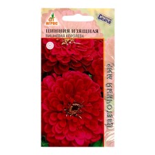 Seeds of zinnia elegant cherry queen 0.5g*