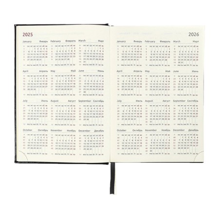 Dated diary 2024 A5 176 sheets, Devente.symbol, firm artificial leather cover, foil, lies, cream block 70 g/m2, blue-9