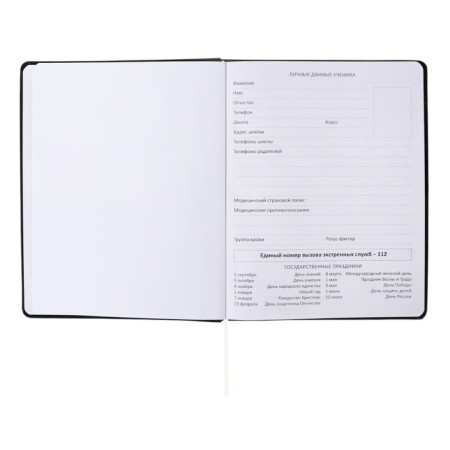 Universal diary for grade 1-11 Morning, integral cover, artificial leather, silkography, liesse, 80 g/m2-3