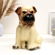 Pig a piggy bank 