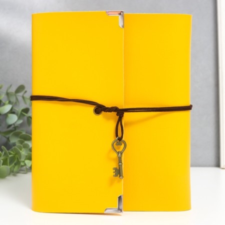 Photo album 30 sheets "bright yellow" leatherette (on rings) 22.5x18x3 cm-2