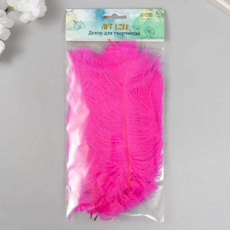 Fuchsia decorative feather-2