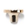 Cappio pen pen, d = 38 mm, color gold