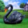 Garden figure "Swan" Black, 34x25x40cm